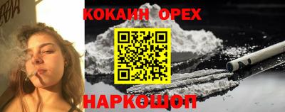кокс Кингисепп