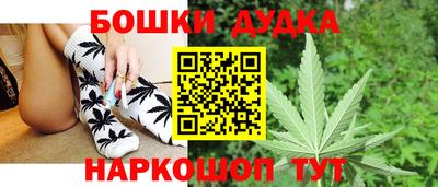 кокс Кингисепп