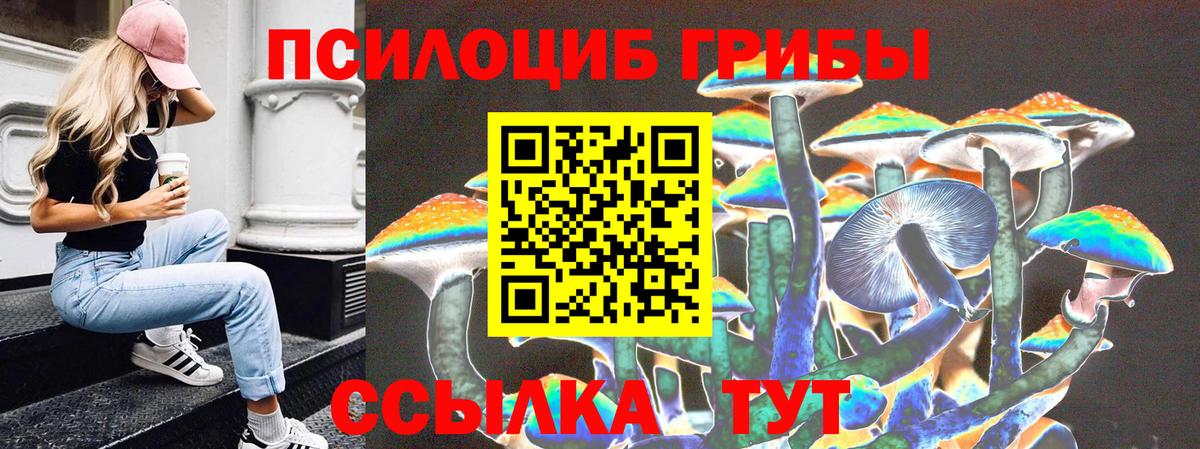 где найти   Вход с VPN  Галлюциногенные грибы Cubensis  Кизляр  Галлюциногенные грибы прущие грибы 
