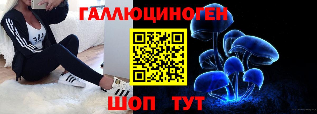 Псилоцибиновые грибы ЛСД Кизляр