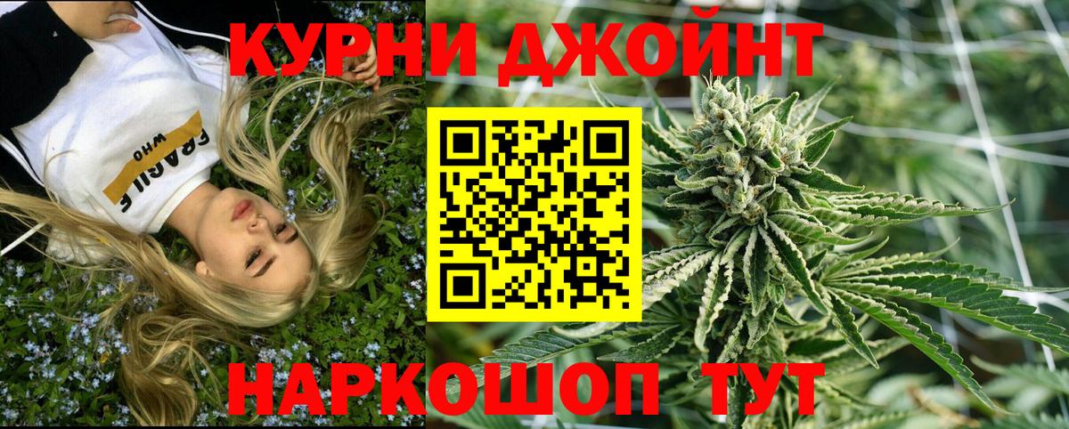 Марихуана гибрид Кизляр
